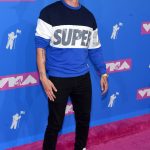 hbz-vmas-2018-logic-1534812257